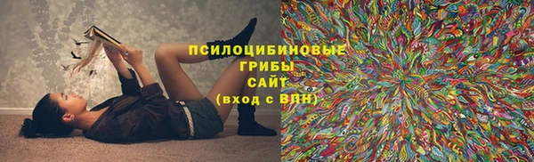 амф Балахна